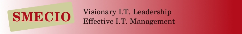 SMECIO :: Visionary I.T. leadership and effective I.T. management